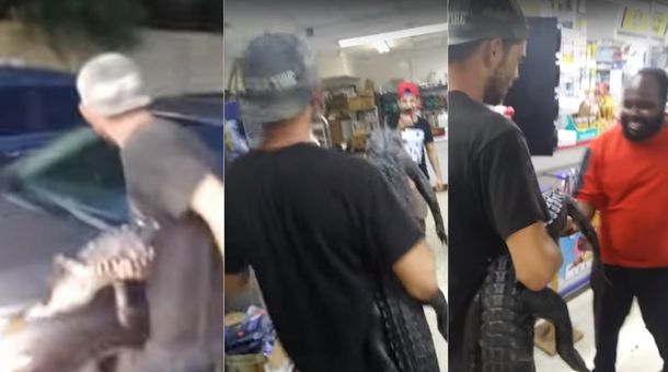 Persiguió a los clientes con un caimán