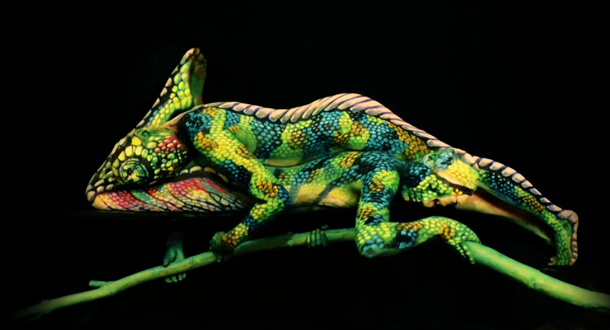 ¿Qué se esconde detrás de este extraño camaleón?
