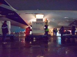 el gobierno detallara la donacion de la vacuna contra el covid-19 a otros paises el gobierno detallara la donacion de la vacuna contra el covid-19 a otros paises