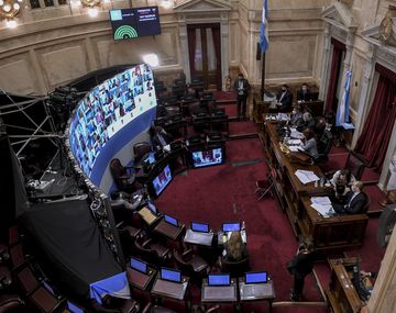 Tras su aprobación en Diputados