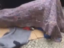 VIDEO: Una pareja tuvo sexo en plena calle abajo de una alfombra