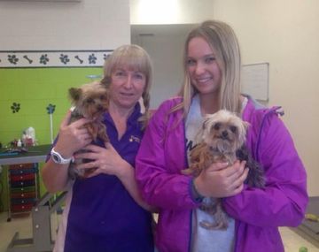 Gentileza de ABC/Happy Dogz.