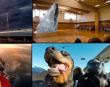 Los videos que más se viralizaron en el 2015