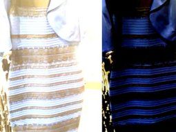 el creador de vestido azul o dorado ira a la carcel por intentar matar a su pareja el creador de vestido azul o dorado ira a la carcel por intentar matar a su pareja