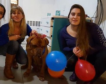 La recuperación de Athos