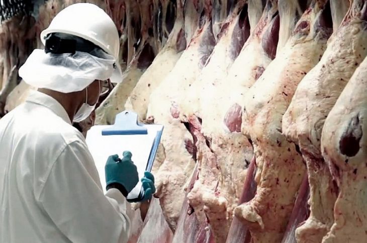 produccion-carne-telamjpg