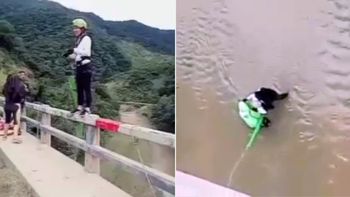 La mujer sólo sufrió unos moretones La mujer sólo sufrió unos moretones