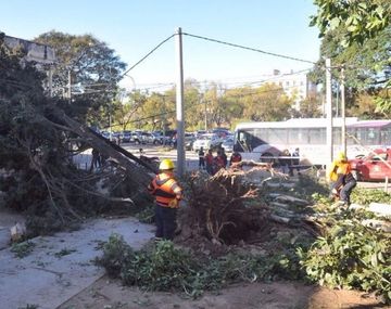 Tres muertos en Jujuy por un temporal