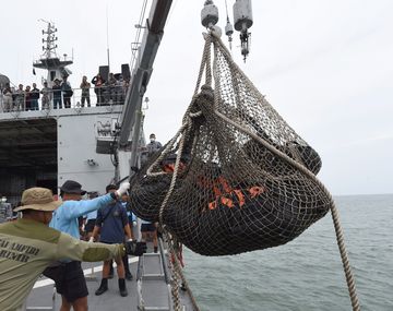 Recuperan 30 cuerpos del avión de AirAsia
