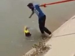 video: rescate a un perro en peligro al mejor estilo indio video: rescate a un perro en peligro al mejor estilo indio