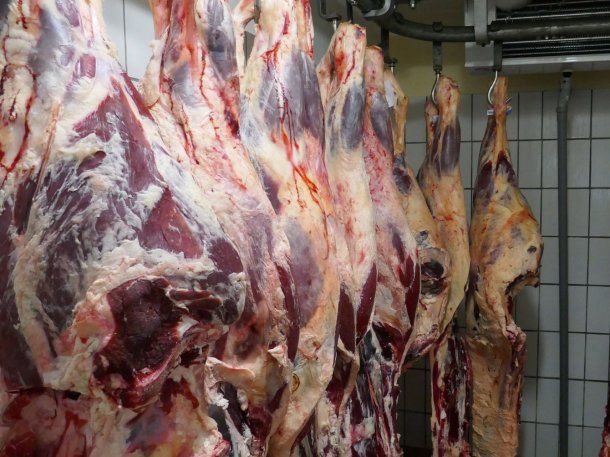 Un mayorista de carne de Esteban Echeverría vende medias reses para abaratar los precios