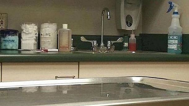 ¿Dónde está el gato? El viral que vuelve locos a todos