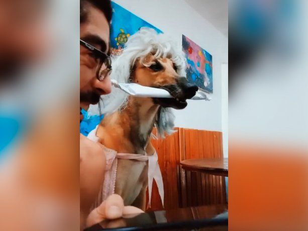 La abuela, el tío y un porro: el viral que explota en TikTok