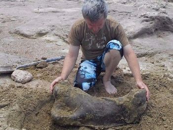 Espectacular hallazgo paleontológico en Miramar