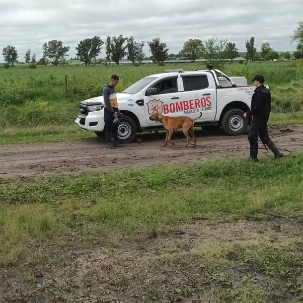 Foto: Somos la Ciudad Paraná Foto: Somos la Ciudad Paraná