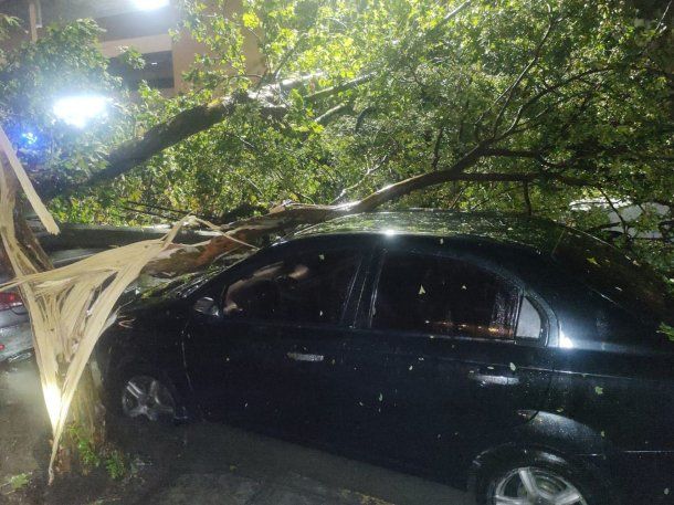 Famosos quedaron atrapados por el temporal en Mar del Plata