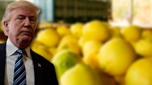 Extienden la suspensión a los limones argentinos por 30 días