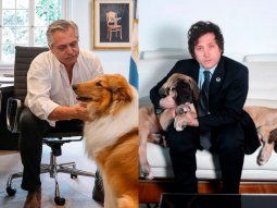 Alberto Fernández destrozó a Milei: Mi perro no me aconseja (y está vivo)