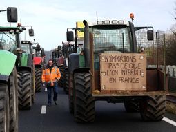 francia incorporara la soberania alimentaria a sus normas y se diluye el acuerdo mercosur-ue francia incorporara la soberania alimentaria a sus normas y se diluye el acuerdo mercosur-ue