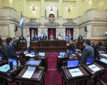 Avanza el proyecto de aborto legal y ya pasaron a la firma el dictamen en el Senado