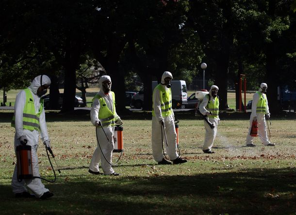 Advierten por un pico máximo de casos de dengue para fines de marzo
