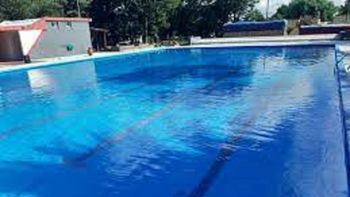 El truco casero para espantar los insectos de la pileta: el procedimiento El truco casero para espantar los insectos de la pileta: el procedimiento