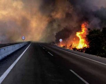 Detienen a 161 personas por los incendios forestales en Chile: los detalles