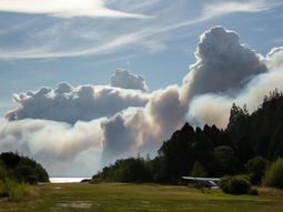 @Gabydemaio @Gabydemaio