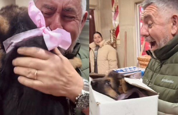 Le regalaron una perrita por el Día del Padre tras perder a su ovejero alemán: la reacción viral