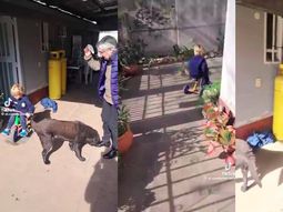 ¡Qué tiempazo!: un abuelo jugó a Franco Colapinto con su nieto y se volvió el viral más tierno