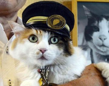 Reemplazan a la gata que era jefa de una estación