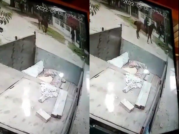VIDEO: el colmo, ahora también roban a caballo