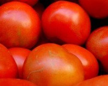 Tomate_chica
