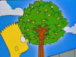 &nbsp;El truco casero para lograr que el limonero florezca con fuerza