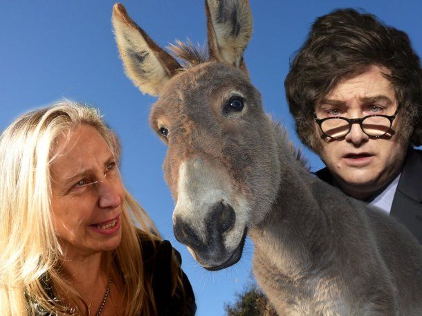 Javier y Karina Milei: un gobierno de burros.
