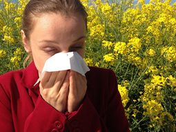La primavera&nbsp;empeora las condiciones de quienes padecen rinitis al&eacute;rgica