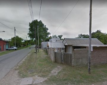 Berazategui: un hombre colgó a su perro de un árbol hasta matarlo