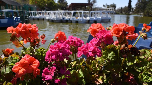 Este año el equinoccio de primavera será el 22 de septiembre. Este año el equinoccio de primavera será el 22 de septiembre.