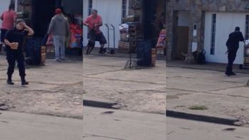 video: un pitbull descontrolado ataco y mato a tres perros en la plata video: un pitbull descontrolado ataco y mato a tres perros en la plata
