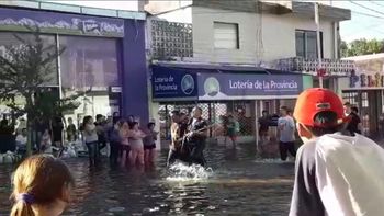 Arrestos por intentos de saqueo en pergamino Arrestos por intentos de saqueo en pergamino