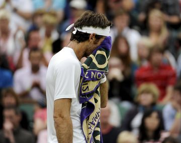 Del Potro cayó ante Ferrer y se despidió del césped inglés