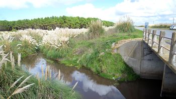 El lugar donde fue hallado el cadáver El lugar donde fue hallado el cadáver