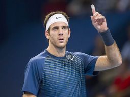 del potro dijo que por ahora no vuelve a jugar la copa davis del potro dijo que por ahora no vuelve a jugar la copa davis