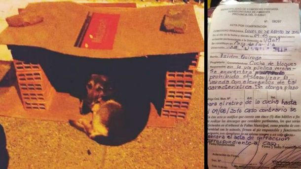 Hizo una cucha para los perros y la Municipalidad lo intimó para que la desarme