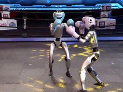 china: robots humanoides deslumbran en el primer torneo oficial de boxeo china: robots humanoides deslumbran en el primer torneo oficial de boxeo