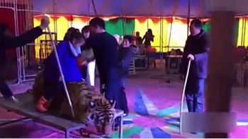 Ataron a un tigre en un circo chino Ataron a un tigre en un circo chino