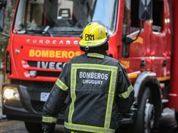 bomberos presento un informe sobre la ley de incendios forestales ¿que dice? bomberos presento un informe sobre la ley de incendios forestales ¿que dice?