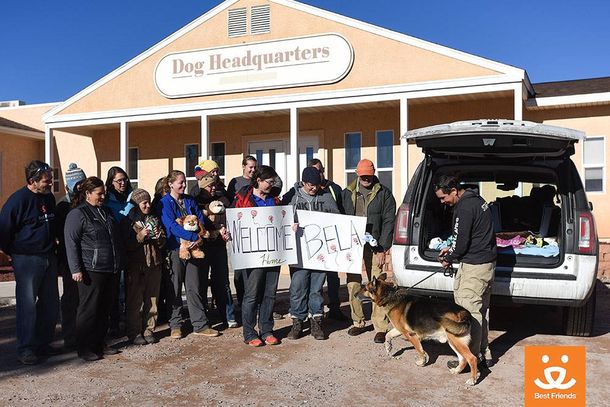Se salvó el perro que había sido condenado a morir por el testamento de su dueña