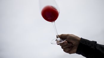 ¿como elegir la copa ideal para cada tipo de vino? ¿como elegir la copa ideal para cada tipo de vino?
