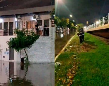 Mariachis dieron una serenata en medio de la inundación en Lanús